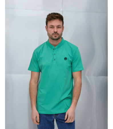 Однотонна футболка поло з коміром стійкою 19554.23