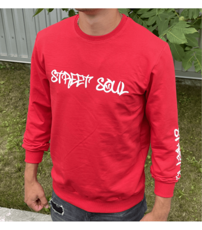 Чоловічий світшот STREET SOUL 17520.29