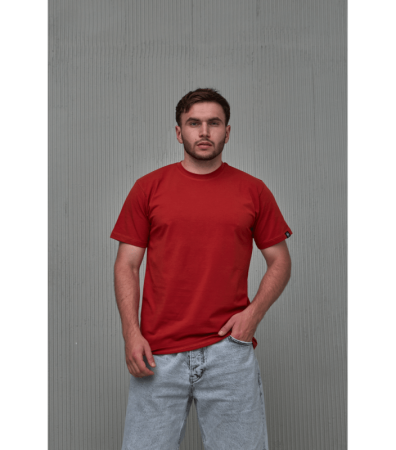 Чоловіча футболка великих розмірів 23001.59