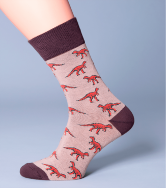 Шкарпетки з малюнком у вигляді диноврів MSl-012