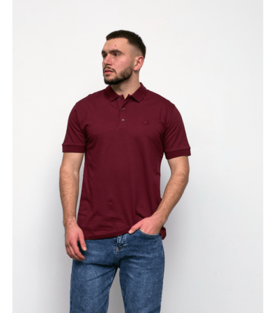 Однотонна футболка чоловіча поло 19552.40