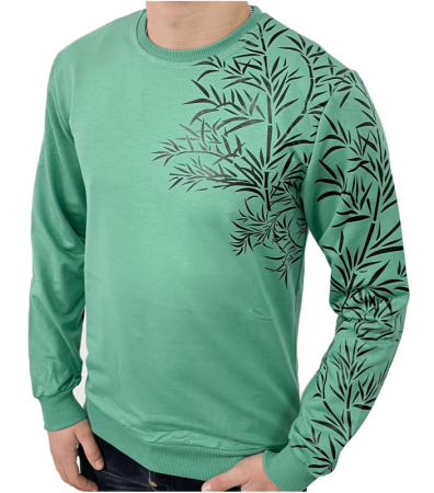 Світшот чоловічий DECOR 17518.23