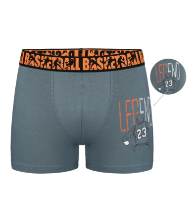 Підліткові труси боксери з принтом BASKETBALL 8371PB28