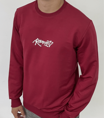 Чоловічий світшот з надписом 17535.6