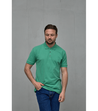 Класична чоловіча поло з відкладним комірцем 19556.23