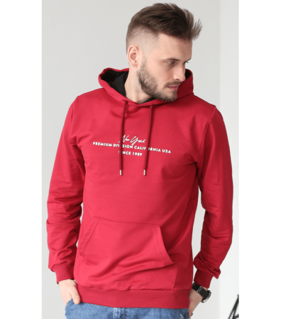 Чоловіче худі PREMIUM 17236.6